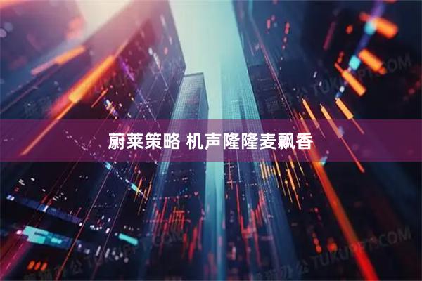 蔚莱策略 机声隆隆麦飘香