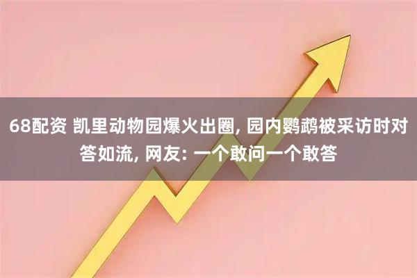 68配资 凯里动物园爆火出圈, 园内鹦鹉被采访时对答如流, 网友: 一个敢问一个敢答